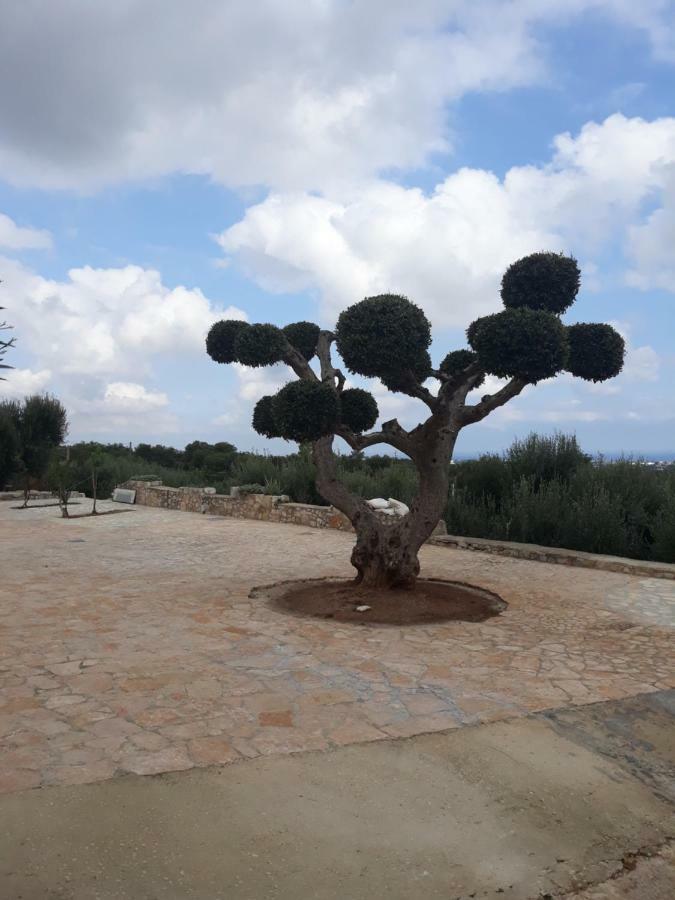 Casa Campagna Appartement Fasano Buitenkant foto
